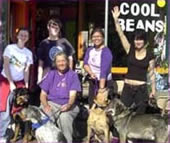 Rocket Dog Offers Mobile Adoptions