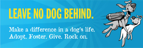 Leave No Dog Behind.  Make a difference in a dog's live.  Adopt.  Foster.  Give.  Rock on.