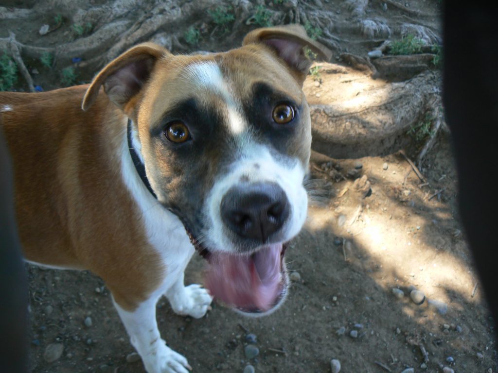 TAZ SUCCESS STORY