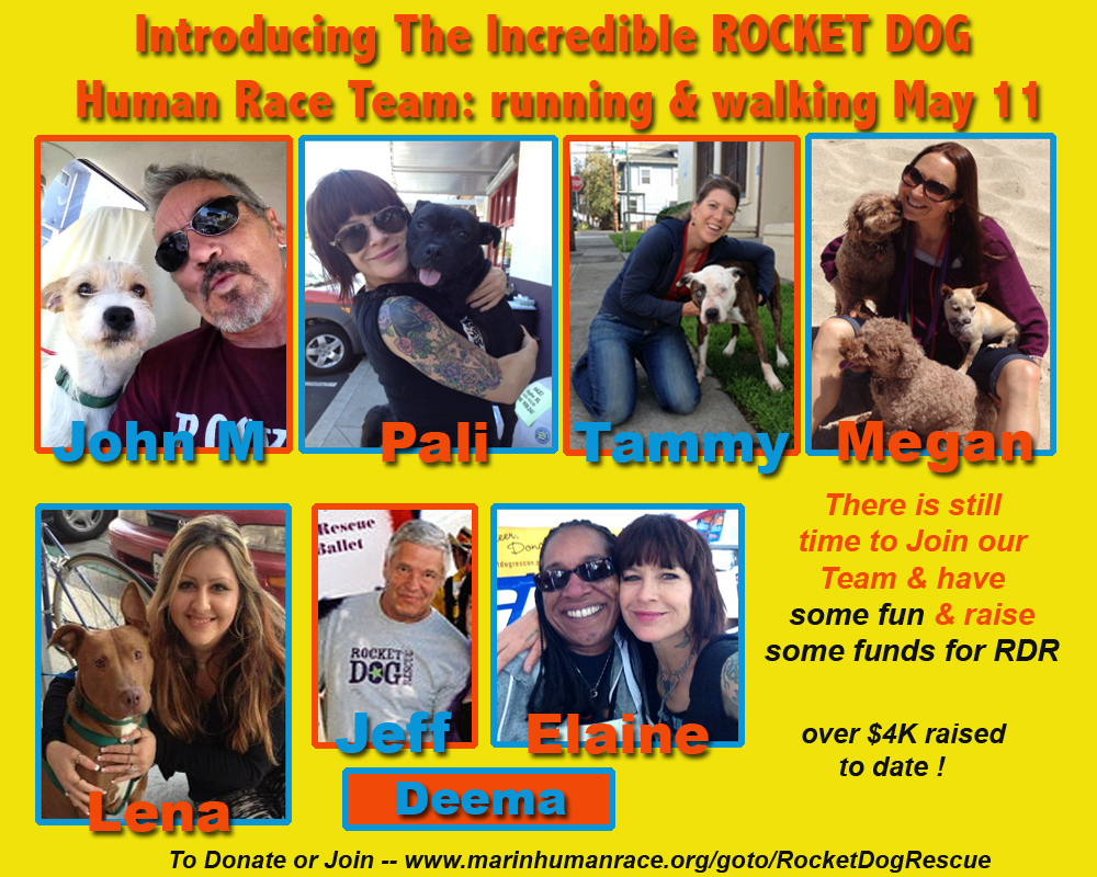 Human Race  - Rocket Dog Rescue