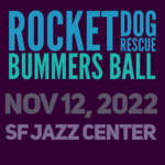 Rocket Dog Rescue's Bummers Ball 2022!