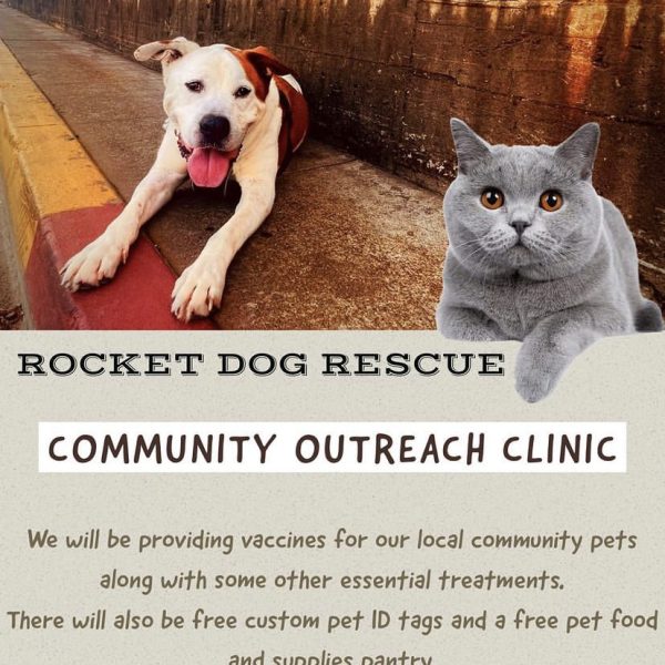 Events Rocket Dog Rescue