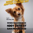 Pop-Up Adoption•Foster Event @When Modern Was (San Francisco)