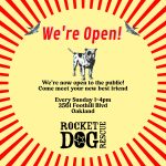 Adoption•Foster Event - Open House @ Rocket Dog Sanctuary (Oakland)