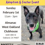 Pop-Up Adoption•Foster Event @Almanac W. Oakland Clubhouse (Oakland)