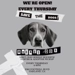 Adoption•Foster Event @Rocket Dog Sanctuary (Oakland)