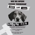 Adoption•Foster Open House @Rocket Dog Sanctuary (Oakland)