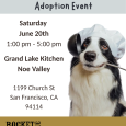 Pop-Up Adoption•Foster Event @Grand Lake Kitchen (San Francisco)