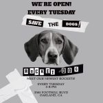 Adoption•Foster Open House @Rocket Dog Sanctuary (Oakland)