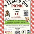 3-Legged Dog Picnic @Little Marina Green (San Francisco)