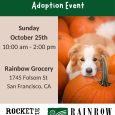 Halloween Adoption Event @Rainbow Grocery (San Francisco)