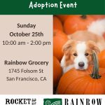 Halloween Adoption Event @Rainbow Grocery (San Francisco)