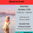 Adoption Event @Paws on the Bay (Treasure Island)