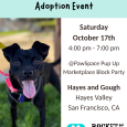 Adoption Event @Pawspace Block Party (San Francisco)